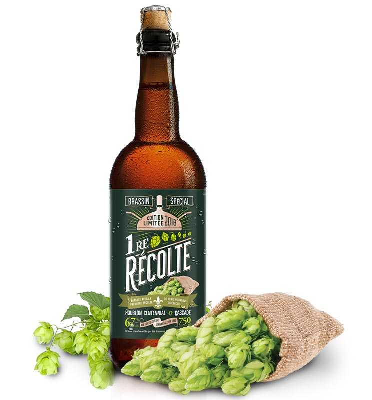 Houblon Cascade pour la bière